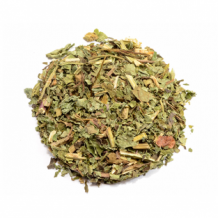 images/productimages/small/Melissa Officinalis - Lemon Balm.png